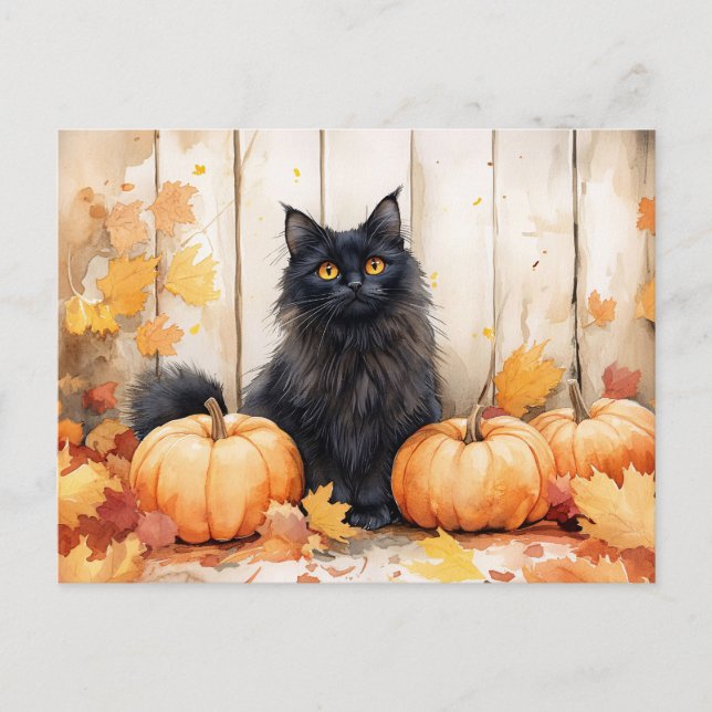 Herbstkatze und Pumpkins Postkarte (Vorderseite)