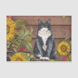 Herbstkatze und Sonnenblumen auf Stallholz Fall Seidenpapier