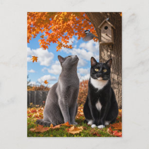 Herbstkatzen sitzen unter einem Ahornbaum  Postkarte