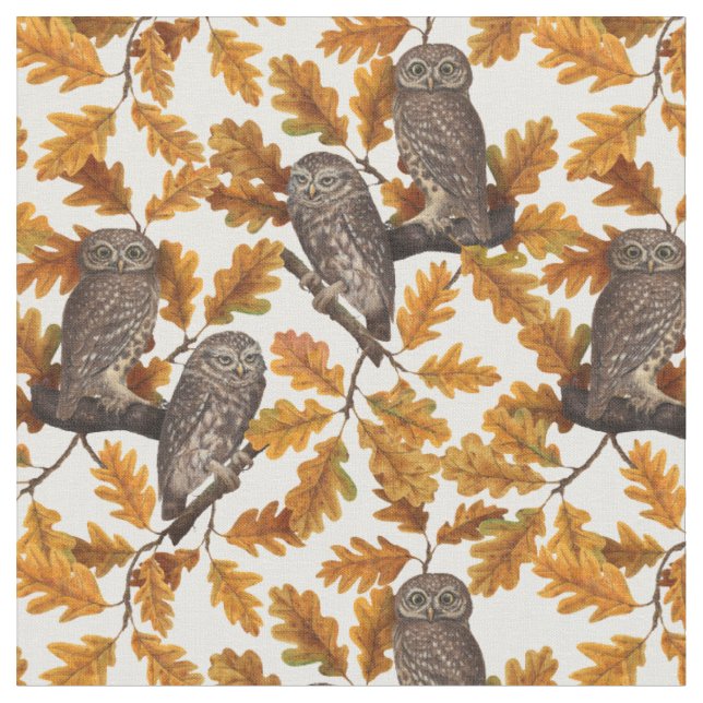 Herbstkauz auf Baumwolle weiß Stoff (Nahaufnahme)
