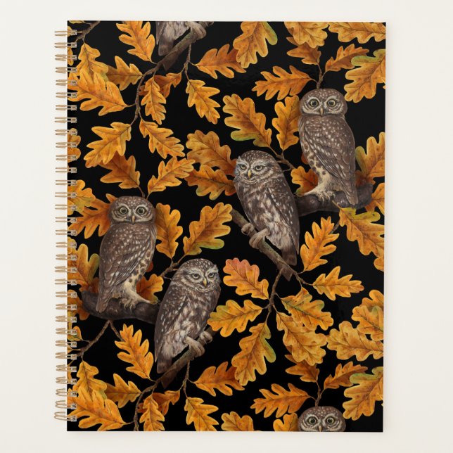 Herbstkauz auf schwarz planer (Vorderseite)