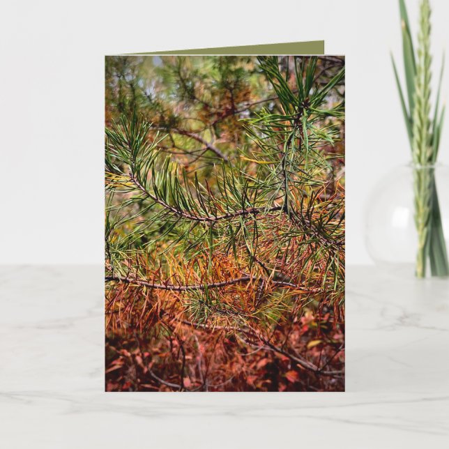 Herbstkiefernadeln Karte (Vorderseite)