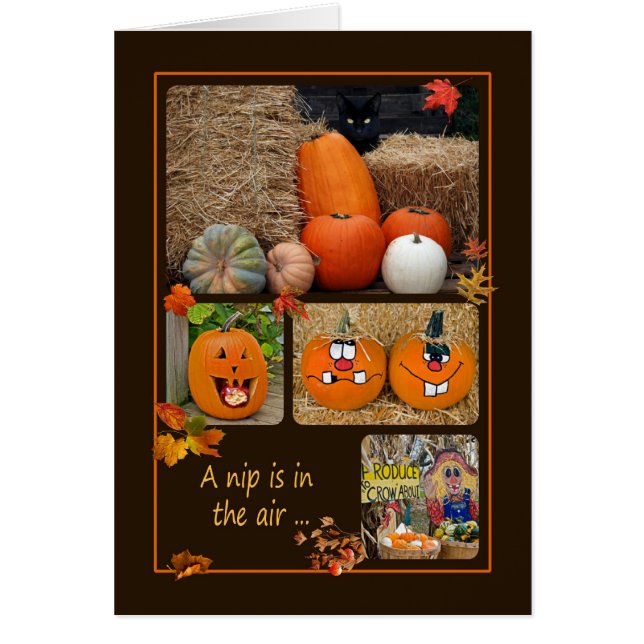 Herbstkollektion (Vorne)