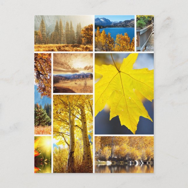 Herbstkollektion Postkarte (Vorderseite)