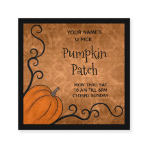 Herbstkürbis mit Wirbel-Neuheit