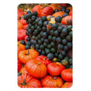 Herbstkürbisse Nahaufnahme Magnet