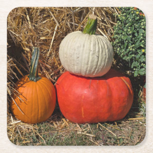 Herbstkürbisse Rechteckiger Pappuntersetzer