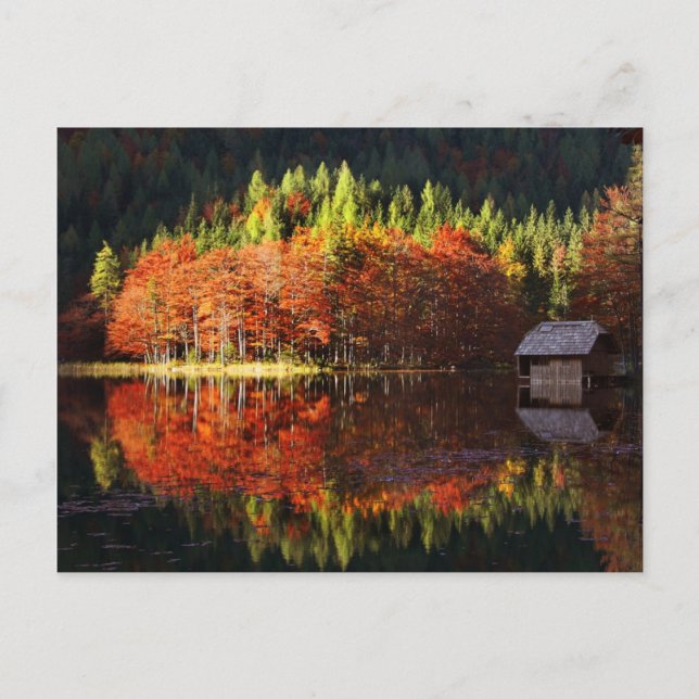 Herbstlandschaft am See Postkarte (Vorderseite)