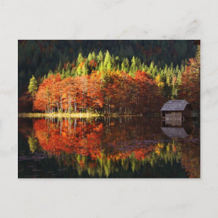 Herbstlandschaft am See Postkarte