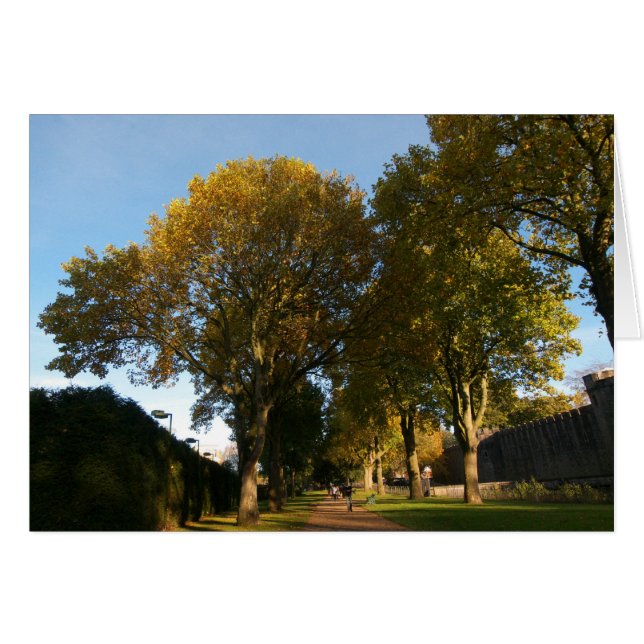 Herbstlandschaft, Bute Park, Cardiff (Vorderseite (Horizontal))