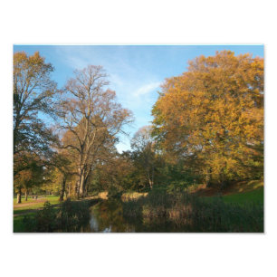 Herbstlandschaft, Bute Park, Cardiff Fotodruck