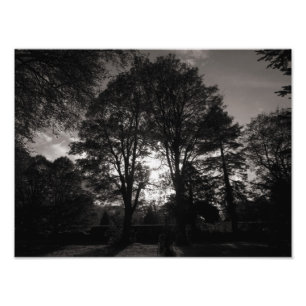 Herbstlandschaft Bute Park Cardiff Fotodruck