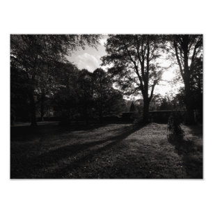 Herbstlandschaft Bute Park Cardiff Fotodruck