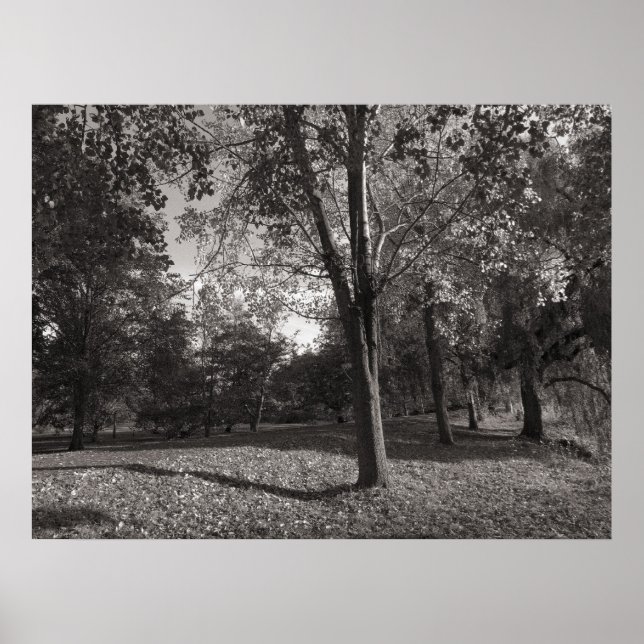 Herbstlandschaft Bute Park Cardiff Poster (Vorne)