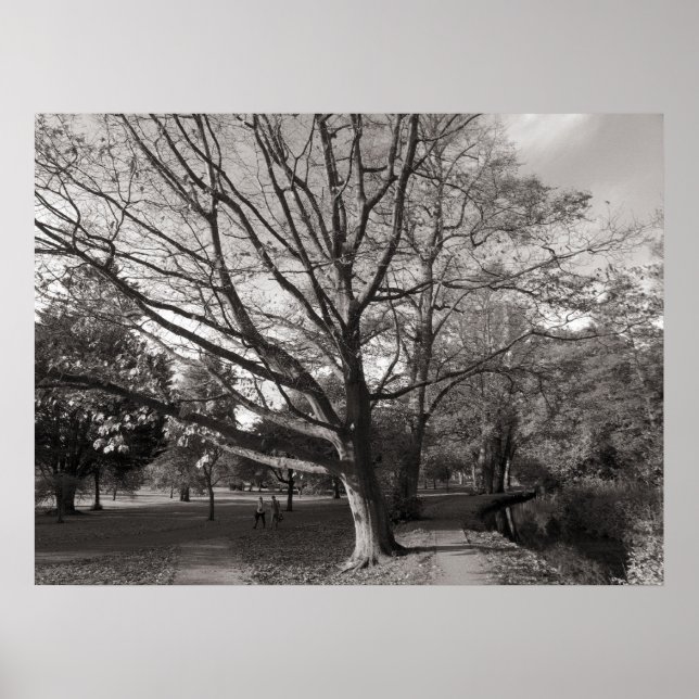 Herbstlandschaft Bute Park Cardiff Poster (Vorne)