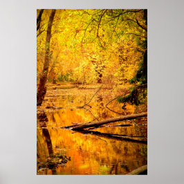 Herbstlandschaft Foto Naturwall Poster