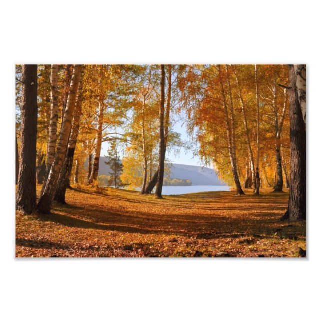 Herbstlandschaft Fotodruck (Vorne)