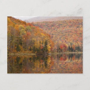 Herbstlandschaft mit See, Vermont, USA 2 Postkarte