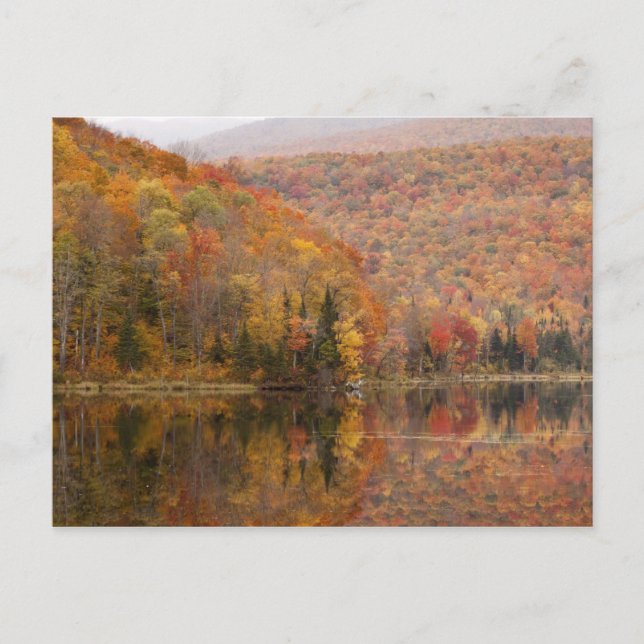 Herbstlandschaft mit See, Vermont, USA 2 Postkarte (Vorderseite)