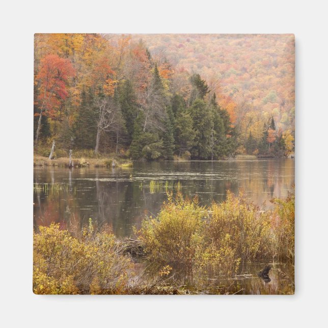 Herbstlandschaft mit See, Vermont, USA 3 Magnet (Vorne)