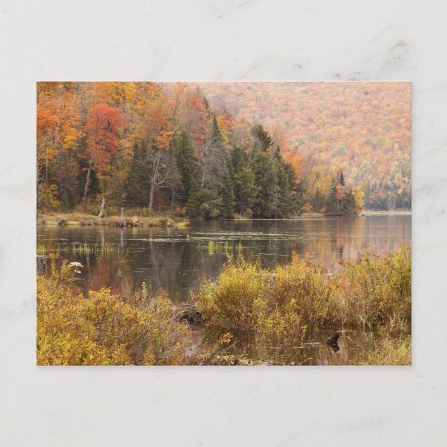 Herbstlandschaft mit See, Vermont, USA 3 Postkarte (Vorderseite)