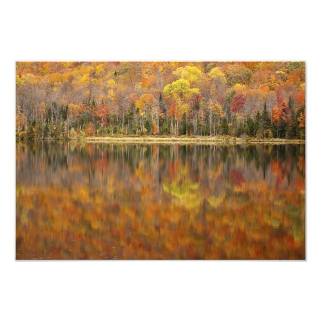 Herbstlandschaft mit See, Vermont, USA Fotodruck (Vorne)