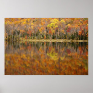 Herbstlandschaft mit See, Vermont, USA Poster