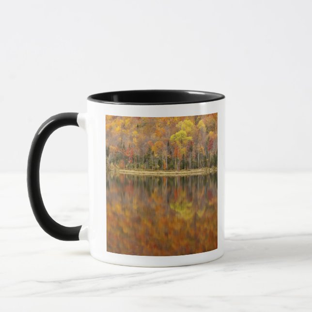 Herbstlandschaft mit See, Vermont, USA Tasse (Links)