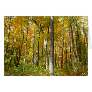 Herbstlandschaft mit Wald aus gelben Blättern
