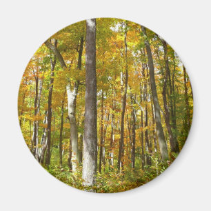 Herbstlandschaft mit Wald aus gelben Blättern Magnet