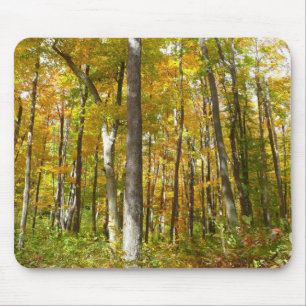 Herbstlandschaft mit Wald aus gelben Blättern Mousepad