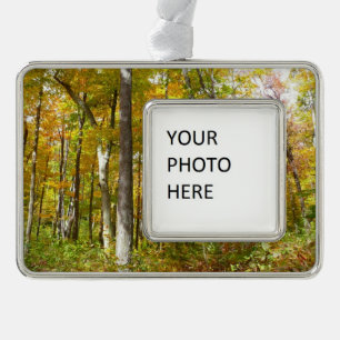 Herbstlandschaft mit Wald aus gelben Blättern Rahmen-Ornament Silber