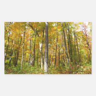 Herbstlandschaft mit Wald aus gelben Blättern Rechteckiger Aufkleber
