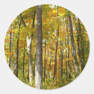 Herbstlandschaft mit Wald aus gelben Blättern Runder Aufkleber