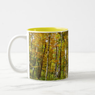 Herbstlandschaft mit Wald aus gelben Blättern Zweifarbige Tasse