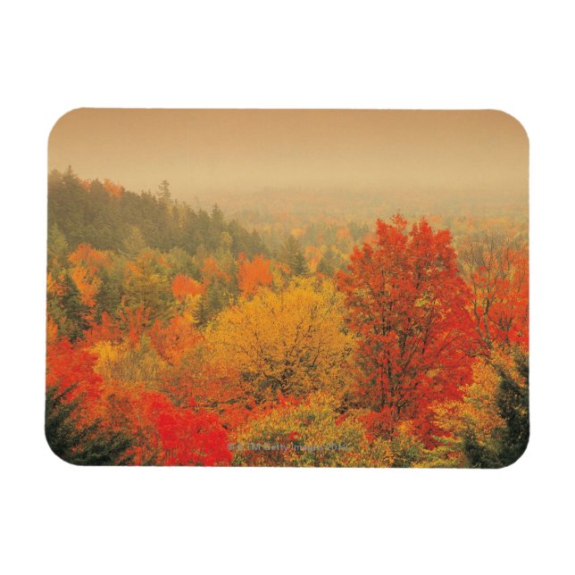 Herbstlandschaft, New Hampshire, USA Magnet (Horizontal)