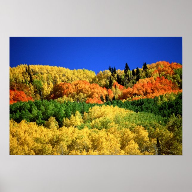 Herbstlandschaft Poster (Vorne)