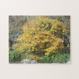Herbstlandschaft Puzzle