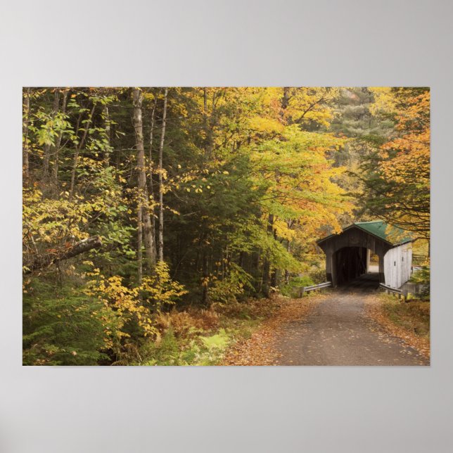 Herbstlandschaft, Vermont, USA 2 Poster (Vorne)