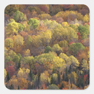 Herbstlandschaft, Vermont, USA 2 Quadratischer Aufkleber