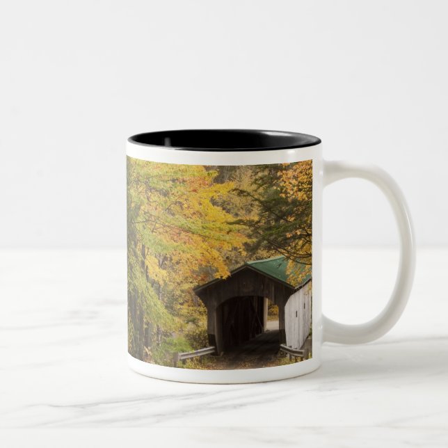 Herbstlandschaft, Vermont, USA 4 Zweifarbige Tasse (Rechts)