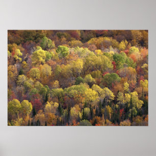Herbstlandschaft, Vermont, USA Poster