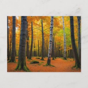 Herbstlandschaft Wald Postkarte