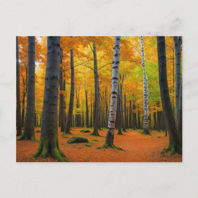 Herbstlandschaft Wald Postkarte (Vorderseite)