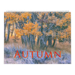 Herbstlandschaften Kalender