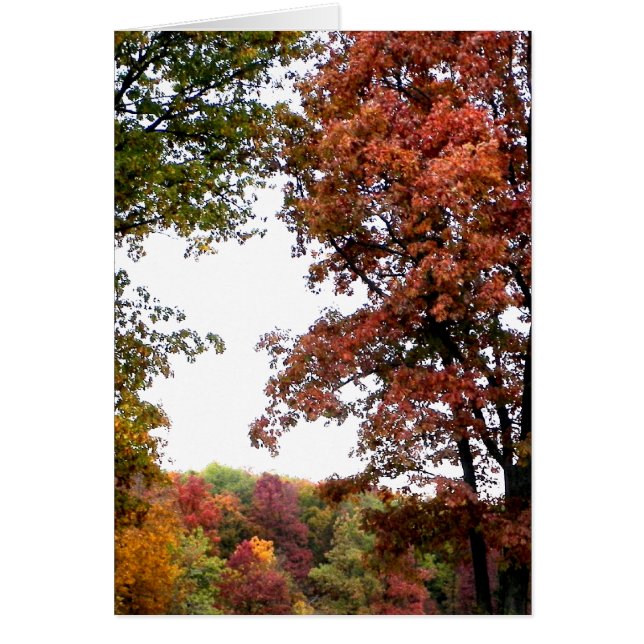 Herbstlandschaftsbild (Vorne)