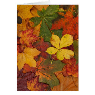 Herbstlaub