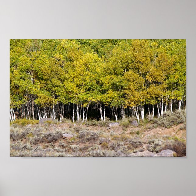 Herbstlaub auf einer Baumhütte oder einem Poster (Vorne)