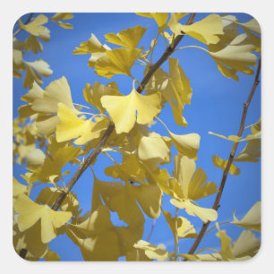 Herbstlaub-Aufkleber Quadratischer Aufkleber