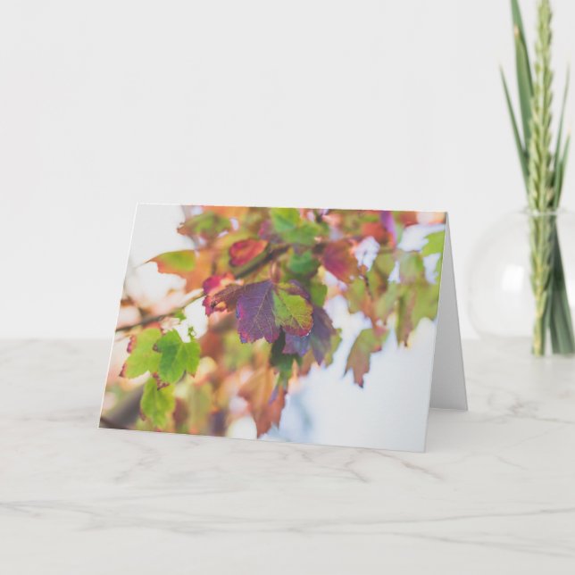Herbstlaub Card Karte (Vorderseite)